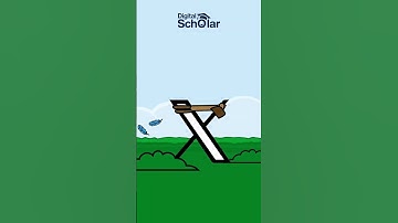 New Twitter Logo | Elon Musk Changes Twitters Logo | X Logo