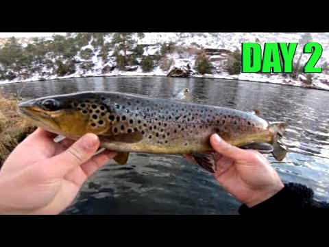 Cold Water TROUT Fishing with Hookup Baits - Day 2 