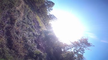 Aikon Race Dragon RD32 45A silky smoooooth