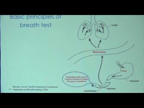 Video: Sobrecrecimiento bacteriano del intestino delgado (SIBO) en perros