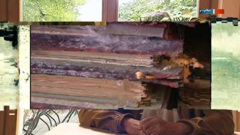 Und dann kam die Flut - MDR Sachsen 2012-08-12 20:15 Uhr