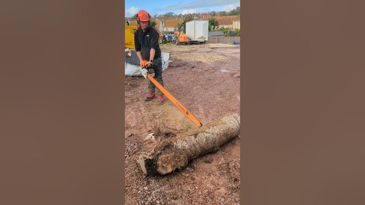 the-world-s-biggest-chainsaw-stihl-ms881-stihl-youtube