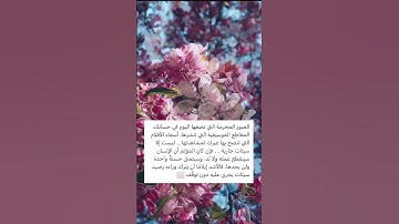 نصيحة محب 🤍 | سورة #التوبة  | القارئ #ناصر_القطامي  #بدر_المشاري