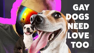 Gay Dogs Need Love Too!! LGBTQ Owners Adopt Dog After Being Dropped Off For Being Gay | #WAWD