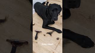 How to Install the Best Garage Vacuum for Pet Owners 🛠️🐾
