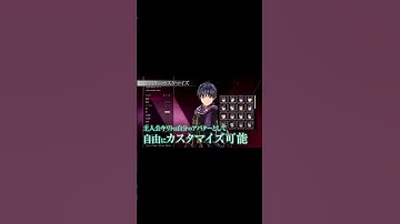 REVEALED: SAOLR Customization