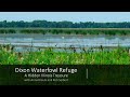 Dixon Waterfowl Refuge: A Hidden Illinois Treasure (March 23rd, 2021)