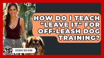 How Do I Teach "Leave It" For Off-leash Dog Training? - Obedient Dog Guide