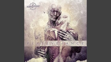 Number 9 (feat. Marco Sfogli)