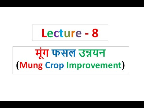 Lecture - 8 Kharif Crop Improvement