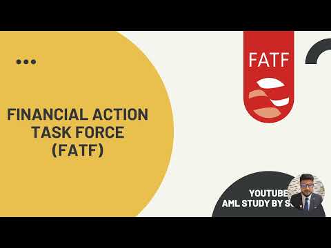 FINANCIAL ACTION TASK FORCE  (FATF) OVERVIEW
