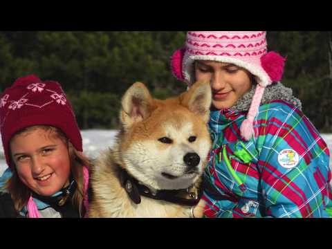 Akita inu Haki (2020)