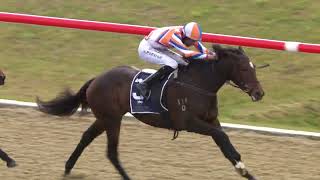 Mitre Peak wins Maiden Race Riccarton 31st May 2024