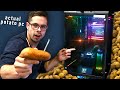 I built a pc that runs on potatoes