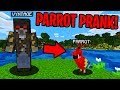 TALKING PARROT PRANK IN MINECRAFT! - Minecraft Trolling Video