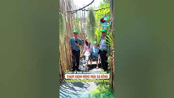 Gia Đình Từ Thanh Hóa Tham Quan Nông Trại Cá Rồng Hồng Anh Dịp Lễ – Trải Nghiệm Vui Chơi Cả Ngày!