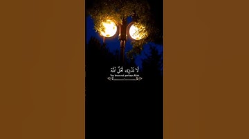 الشيخ عبد الباسط عبد الصمد.. سورة الطلاق