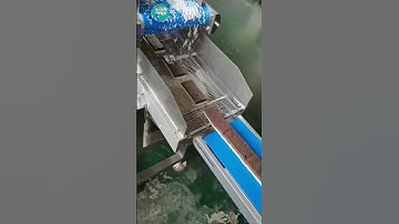 P170 double layer chocolate protein cookie bar production line test for North Macedonia customer