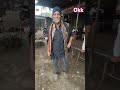 okk#funnyShorts#