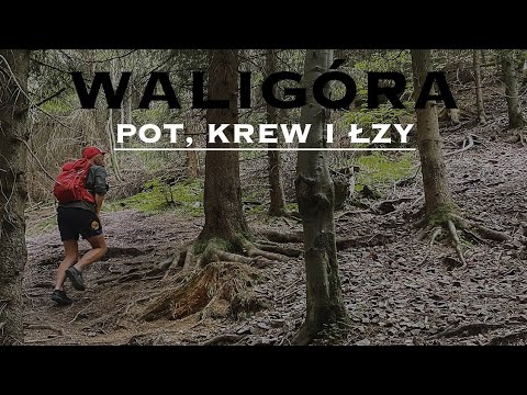 19. KORONA GÓR POLSKI - Waligóra 945m n.p.m. #NiechToSzlak #KrólGór #NiechToGóry