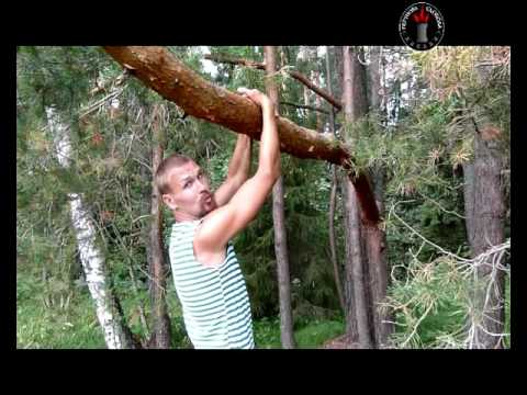 Тренировки в лесу: подтягивания