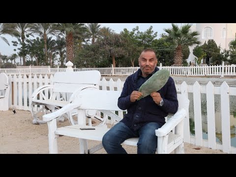 فيديو اقوي وصفة لعلاج مشاكل المفاصل وآلام الركبة وخشونة الشعر, وصفات طبخ اقوي وصفة لعلاج مشاكل المفاصل وآلام الركبة وخشونة الشعر