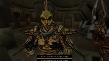 Day 28 - Killing Every NPC Until Elder Scrolls 6 is Released