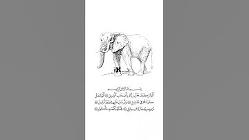 #راحة نفسية#القران الكريم#حالات واتس اب# بصوت الشيخ احمد بن العجمي سورة الفيل