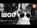 Бездротова портативна акустична система Jarre Technologies AeroBull HD1 Glossy White
