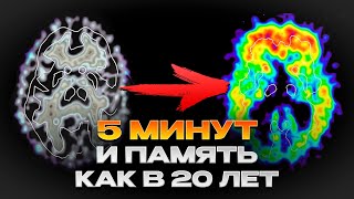 Ухудшилась память — ЧТО ДЕЛАТЬ? / Как улучшить память и работу мозга?