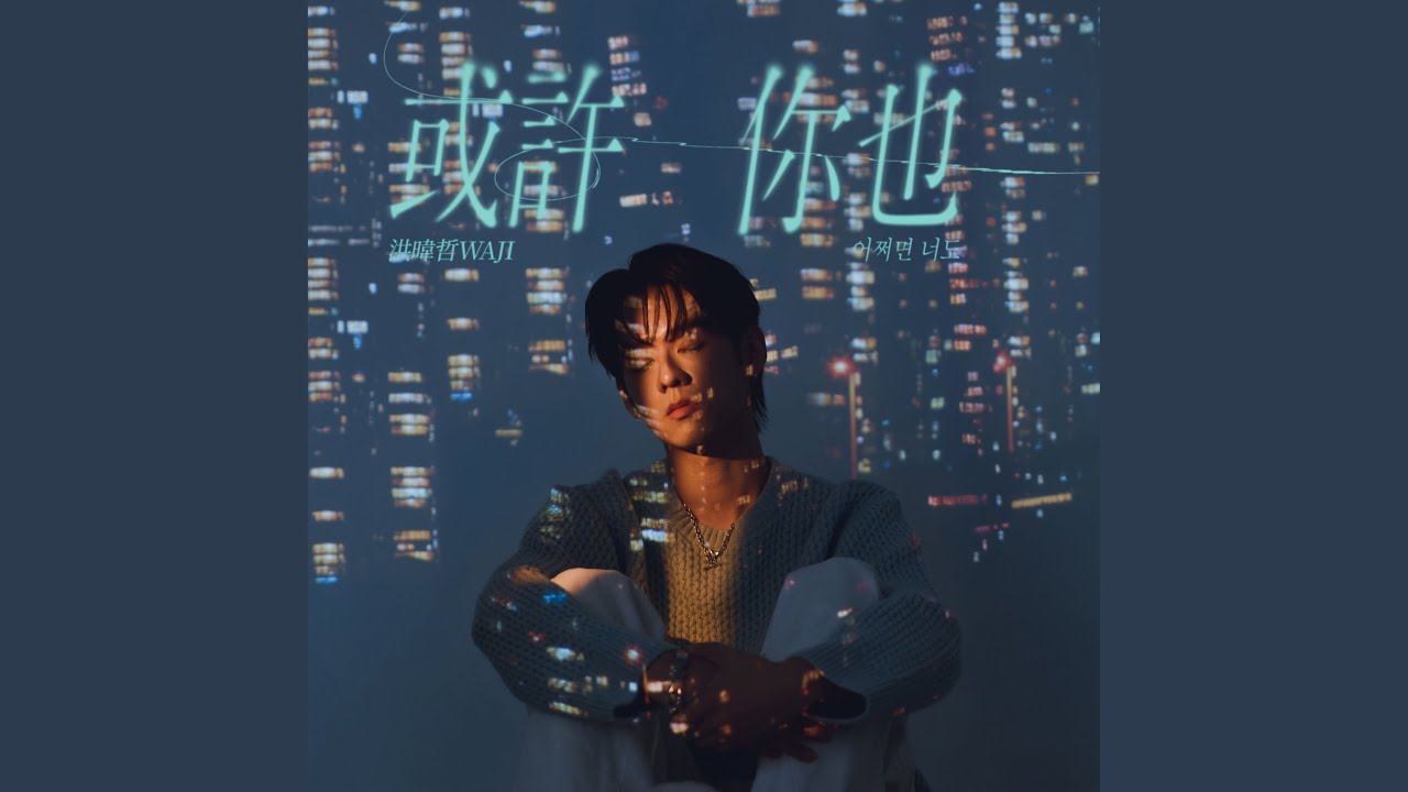 어쩌면 너도 (影集《整形過後》插曲)