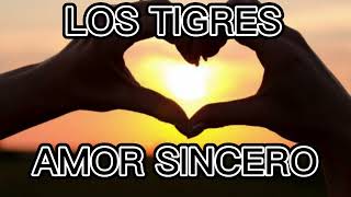 Miniatura de vídeo de "LOS TIGRES - AMOR SINCERO"