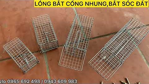 LỒNG CHUỘT ĐƯỜNG MÒN,LỒNG CỐNG NHUM,LỒNG SÓC ĐẤT SÓC RỪNG,LỒNG KHUYÊN 100% THÉP CHỐNG RỈ .GIÁ XƯỞNG.