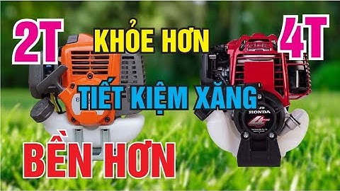 Nên Mua Máy Cắt Cỏ 2 Thì Hay Máy Cắt Cỏ 4 Thì | Nên Mua Máy Cắt Cỏ Thụy Điển Hay Máy Cắt Cỏ Honda