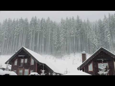 Video: Nieve En El Campo: ¿ayuda O Daño?