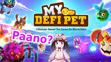 How to Play My Defi Pet? Beginner