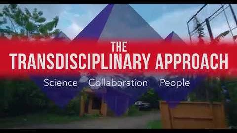 IAI Transdisciplinary research