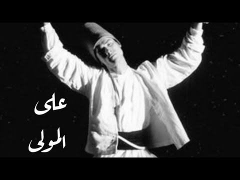 على المولى انا سايق ماسك اللجام حبيشه  بيلي موافي  78    2022
