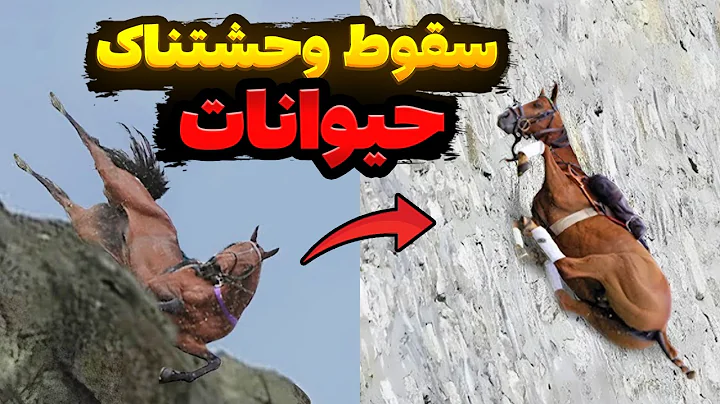 10 سقوط مرگبار حیوانات که دوربین‌ها ضبط کردند! هشدار: واقعیه