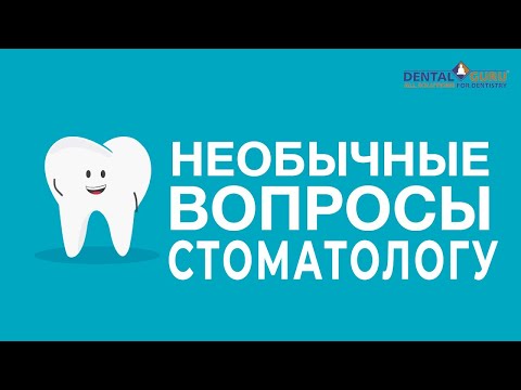 Видео: Нужен ли вашей собаке стоматологический кабинет - февраль - месяц здоровья зубов