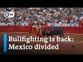 Bullfighting returns to Mexico, divides the country | DW News