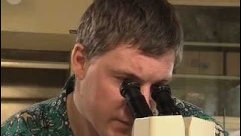 Sand under the microscope