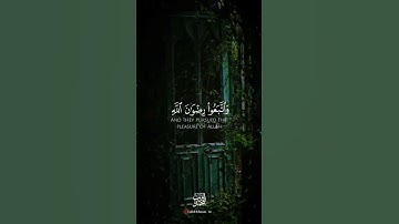 اكتب شئ تؤجر عليه 🤍 #قرآن #quran #قران_كريم #صلوا_على_النبي #كرومات #محمد_ايوب #سورة_آل_عمران