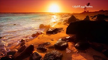 تلاوة خيالية لسورة مريم بصوت الشيخ أنس العمادي HQ