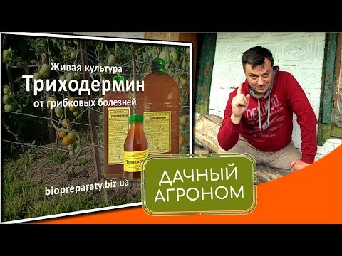 Защита растений от болезней: Триходермин