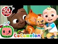 Pet care  we love our pets  cocomelon furry friends  animals for kids