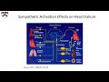 Managing the Epidemic of Obstructive and Central Sleep Apnea in Cardiology