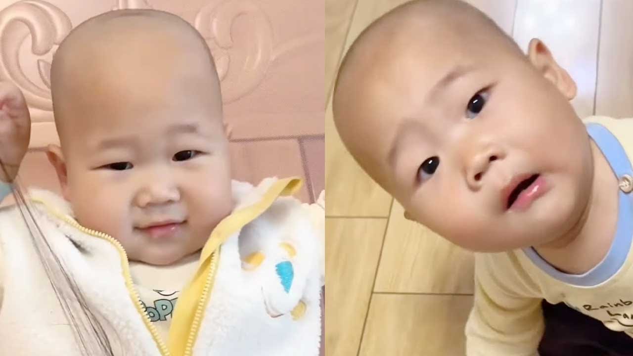 【超萌双胞胎】又是和小哥俩斗智斗勇的一天！【西西和柚柚呀】