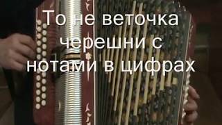 То не веточка черешни с нотами в цифрах