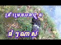 ទីតាំងថ្មី ត្រីម្រេចធំៗណាស់ Traditional fishing for daily food 35